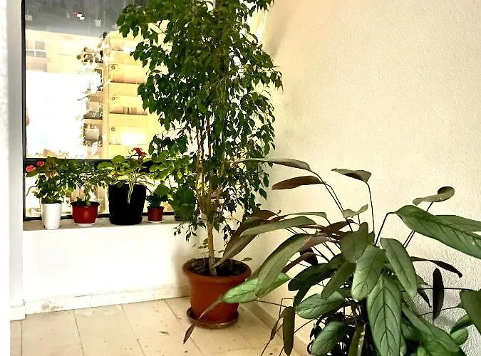 Naki Apartman Podgoriçe